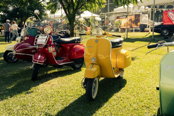 Sacs de luxe : l'élégance emblématique de longchamp